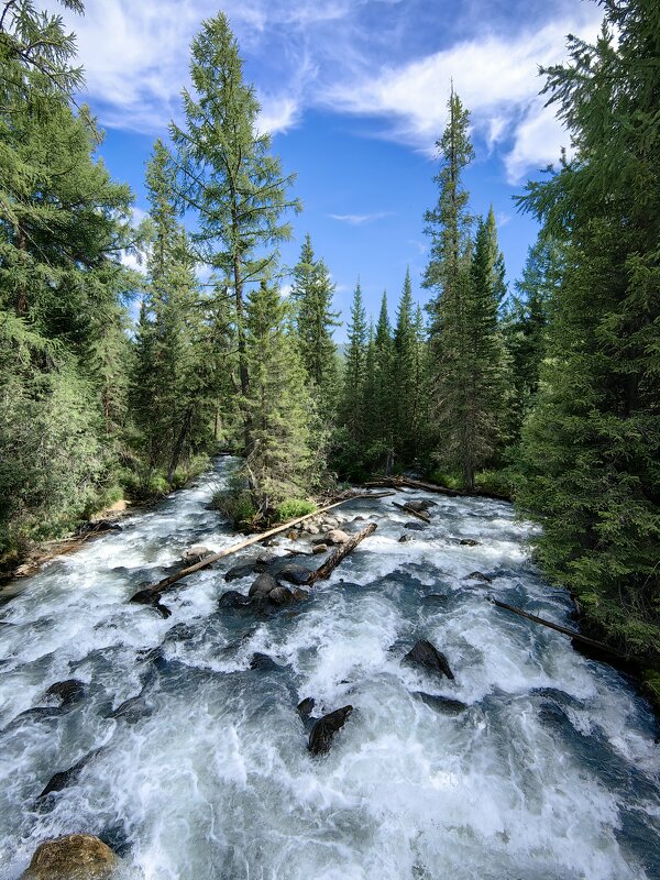 Река Тюнь - Галина Козлова 