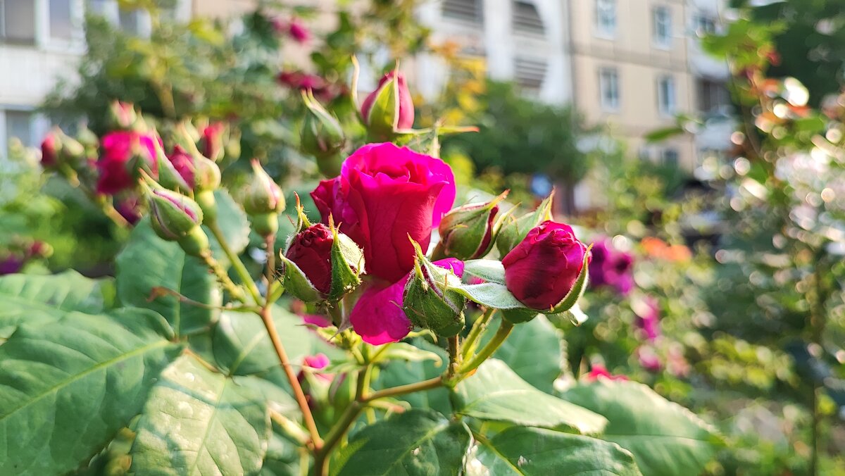 ,,, - Сергей Тимоновский ,,, - Сергей Тимоновский