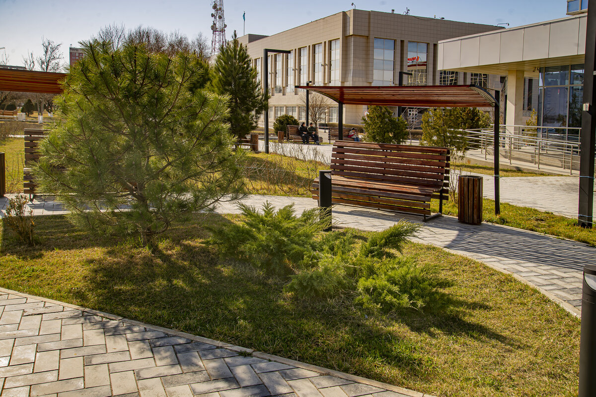 Лавочка - Анатолий Чикчирный