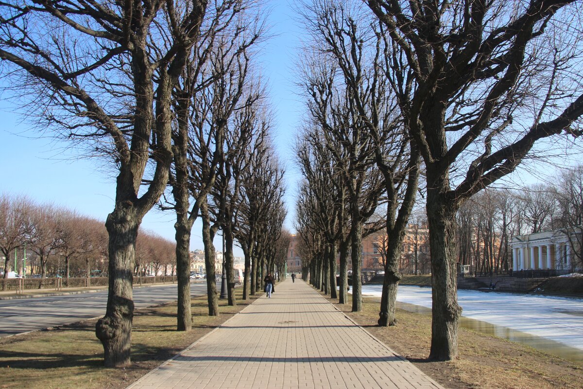 Весенняя аллея - Наталья Герасимова