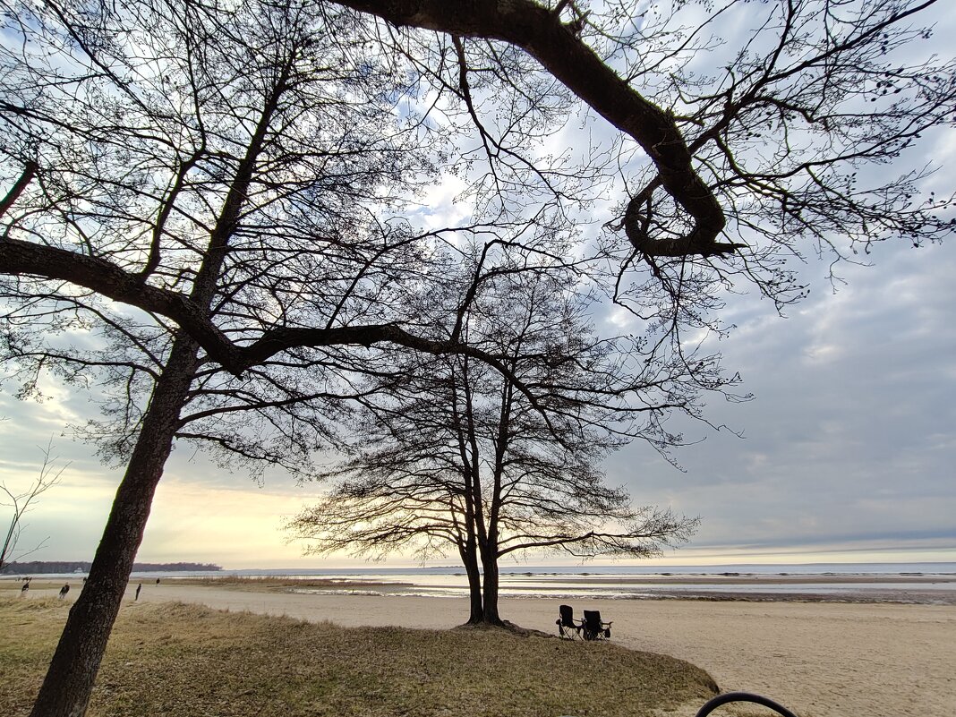 Жизнь - Андрей Жизнь - Андрей