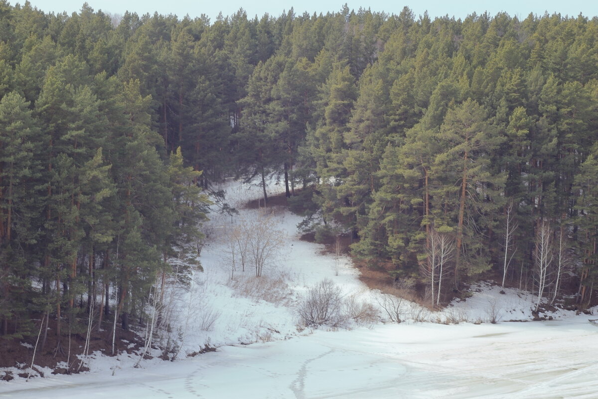 Конец марта. - Александр Николаев