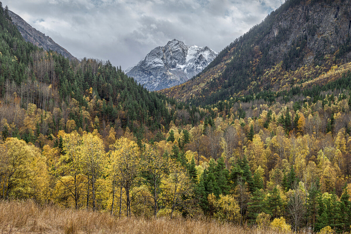 *** - Аnatoly Gaponenko