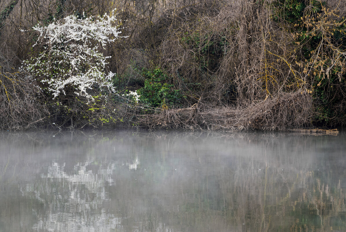*** - Игорь Протасов