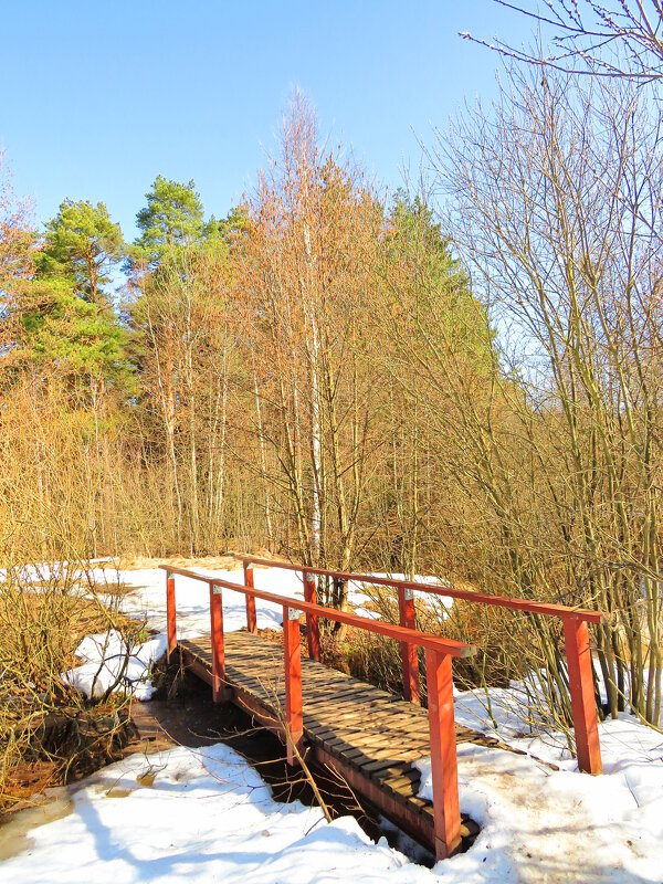 Мостик на весеннем пруду - Андрей Снегерёв Мостик на весеннем пруду - Андрей Снегерёв