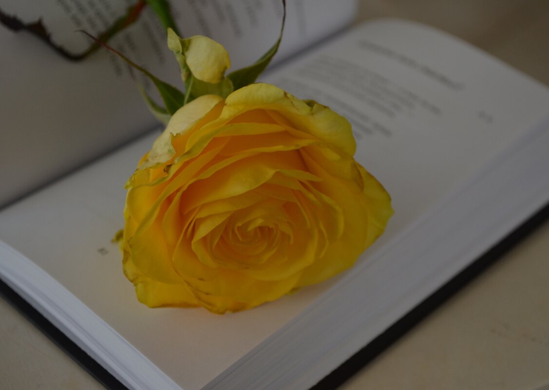 Великие поэты - Таня Фиалка Великие поэты - Таня Фиалка