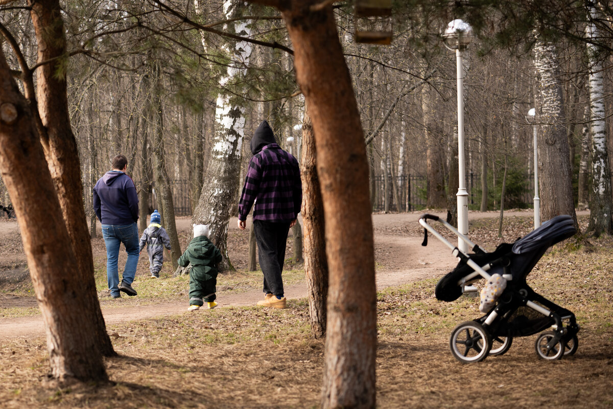 Отцы и дети - Илья Шенгелия