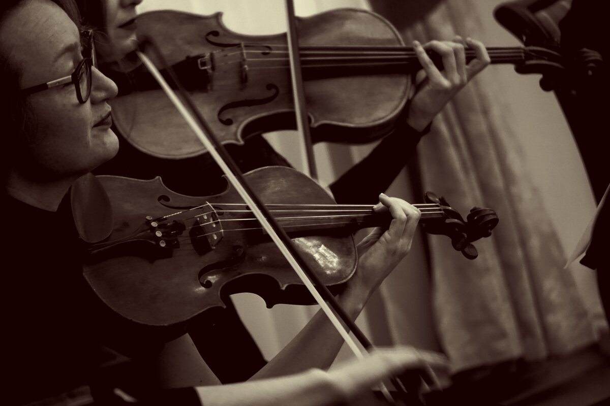 Palladio - Дмитрий Потапов Palladio - Дмитрий Потапов