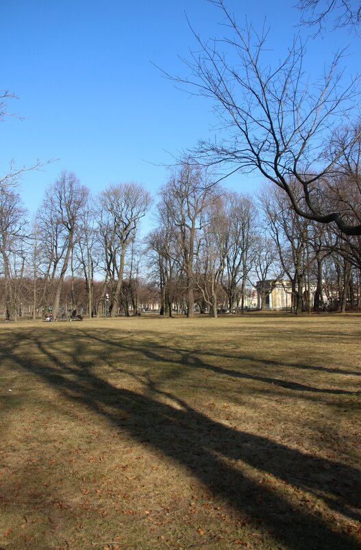 Михайловский сад. Март - Наталья Герасимова Михайловский сад. Март - Наталья Герасимова