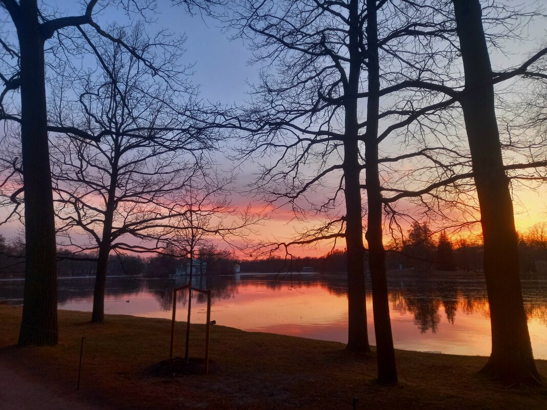 Закат - Сапсан 