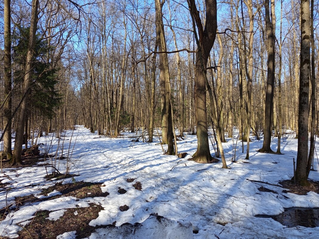 Март уходящий - Андрей Лукьянов Март уходящий - Андрей Лукьянов