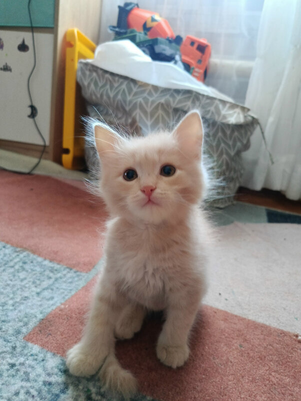 *** - Андрей Л. В.