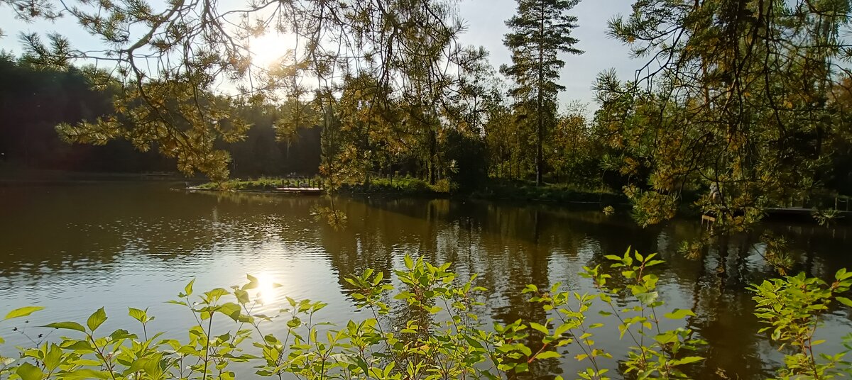 осенний лес.. - Галина R...