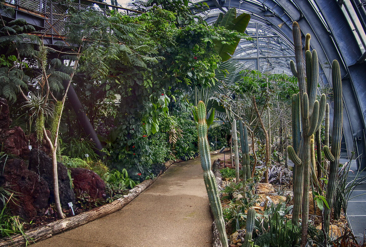 в оранжерее - Андроник Александр 