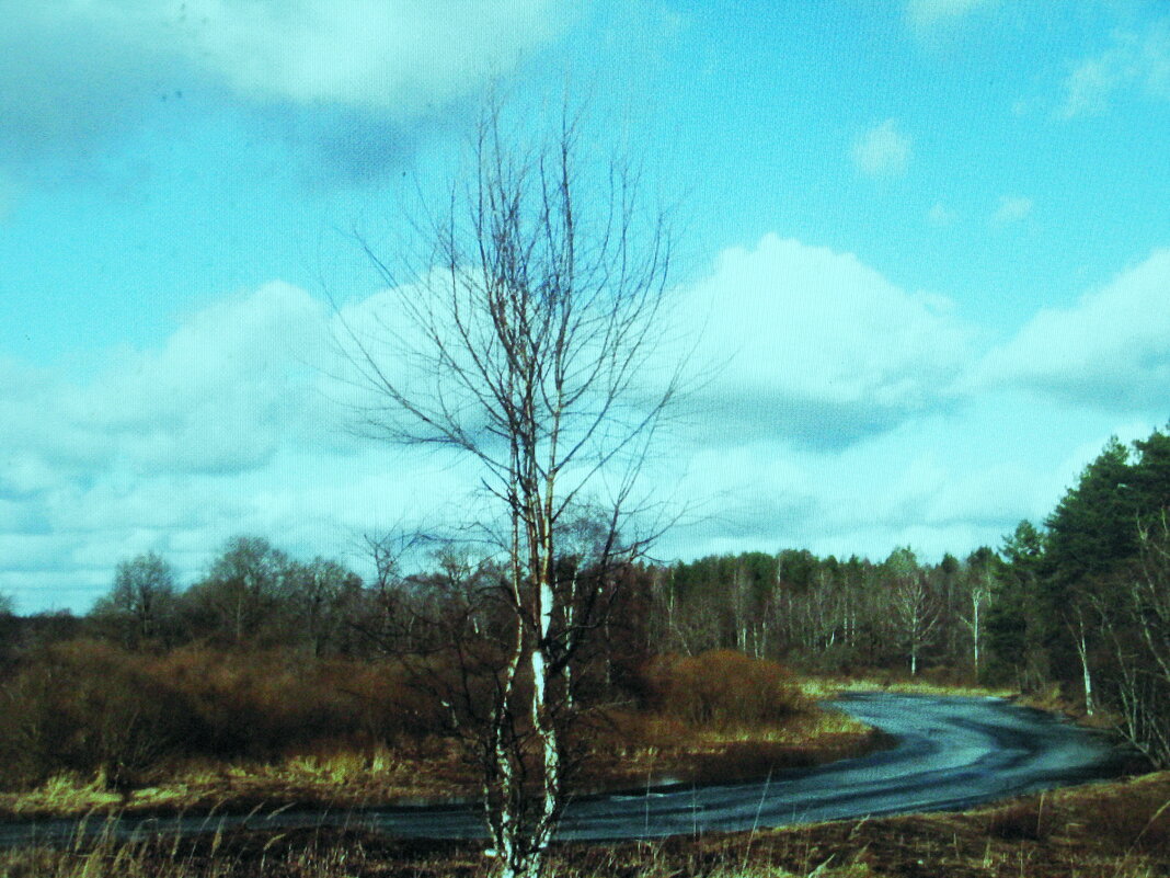 Весна - Людмила Смородинская