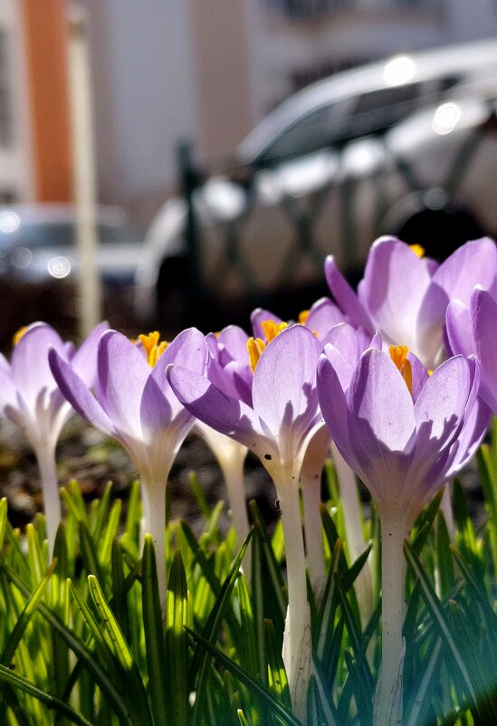 На краю урбанизации - Александр Кондаков