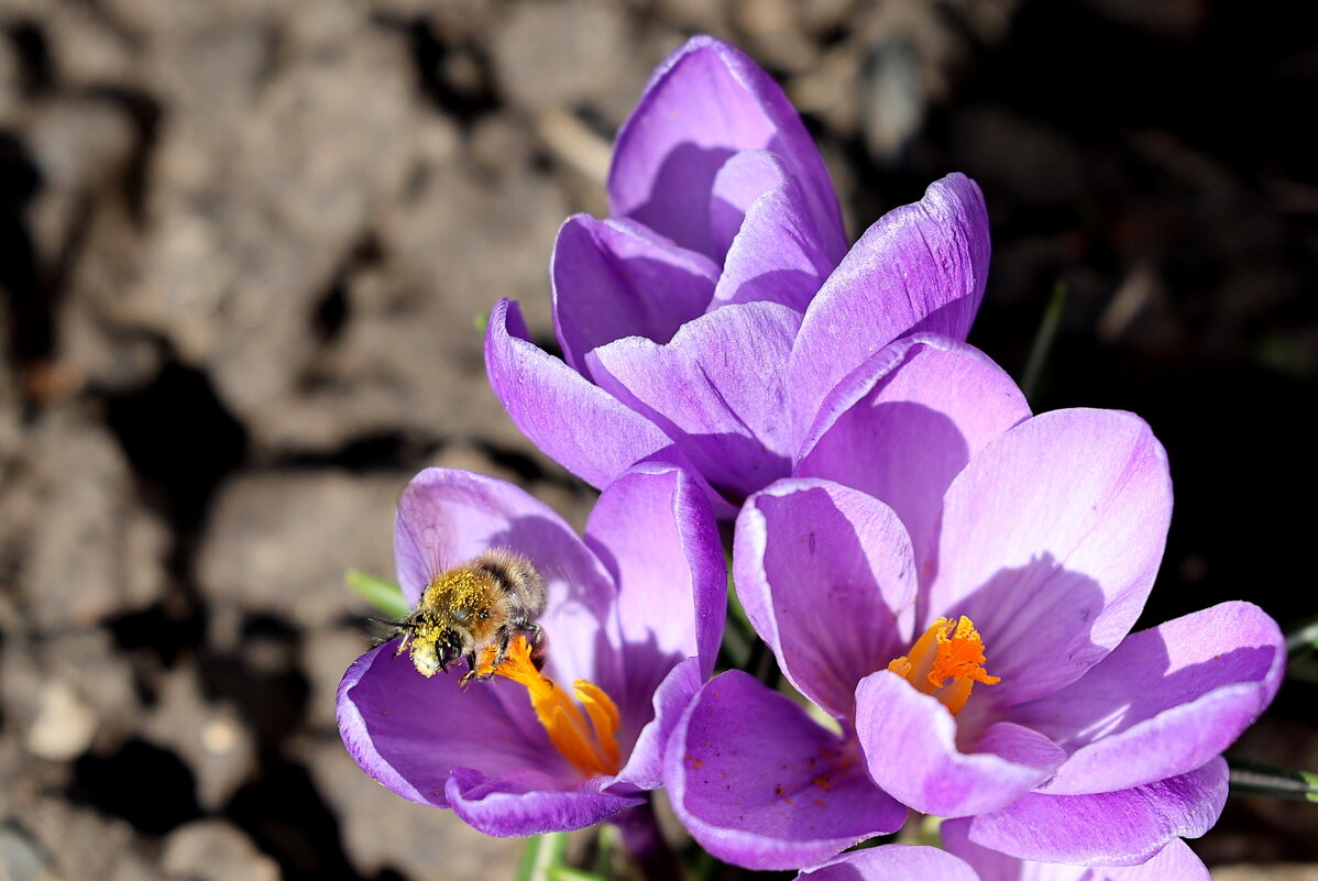 "Поле" - Александр Кондаков
