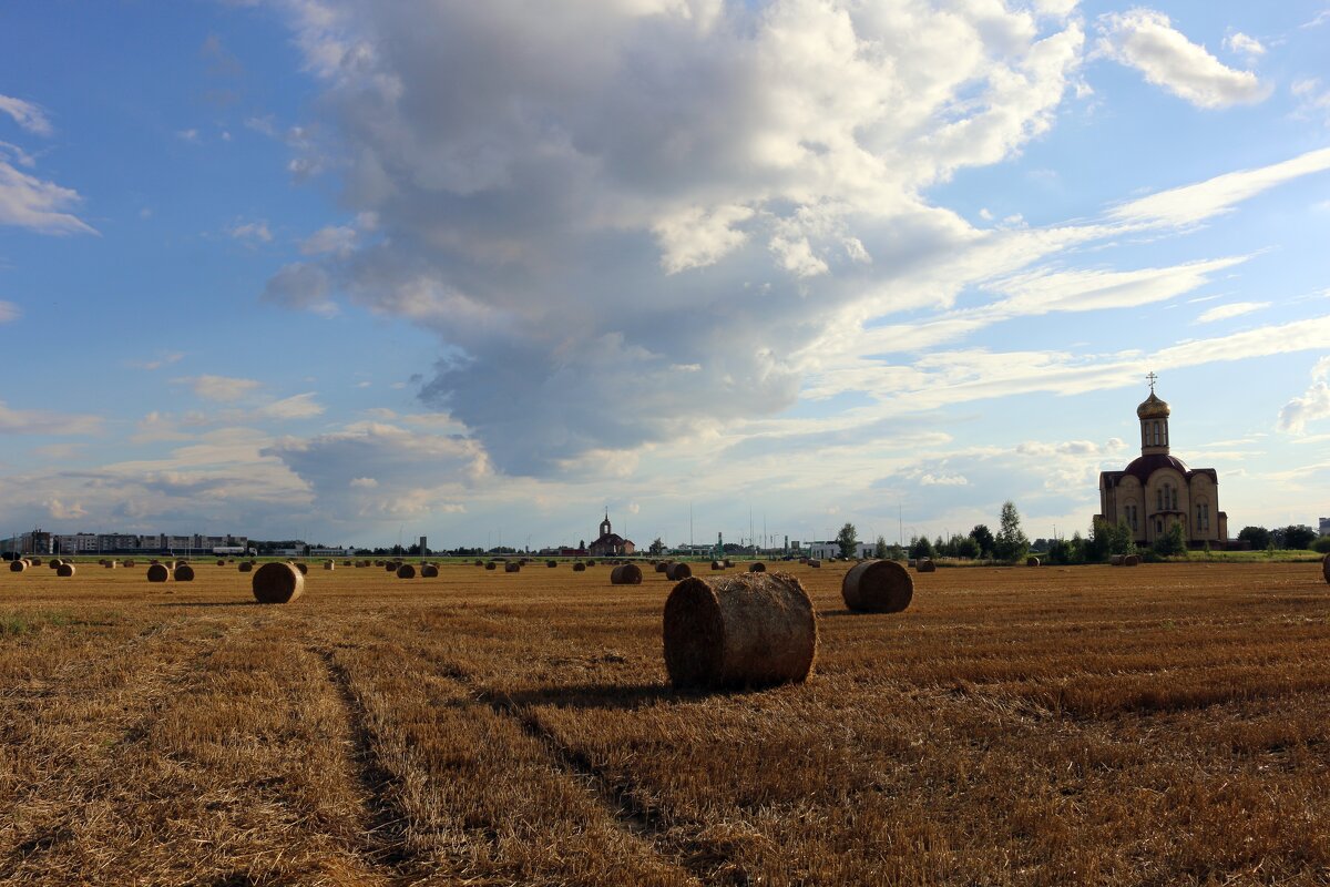 Летняя идиллия - Ольга Летняя идиллия - Ольга