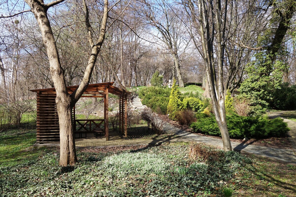 Март, ландшафтный парк, Калининград - Рита Симонова Март, ландшафтный парк, Калининград - Рита Симонова