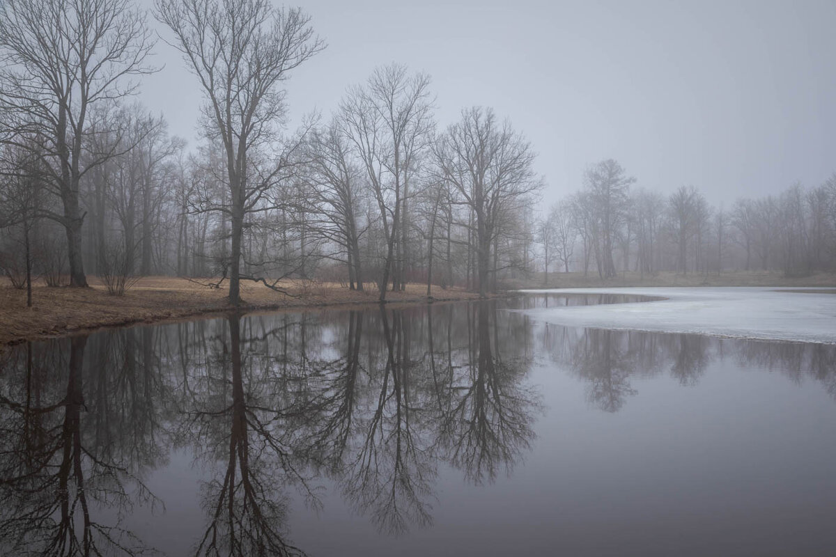 **** - Елизавета .