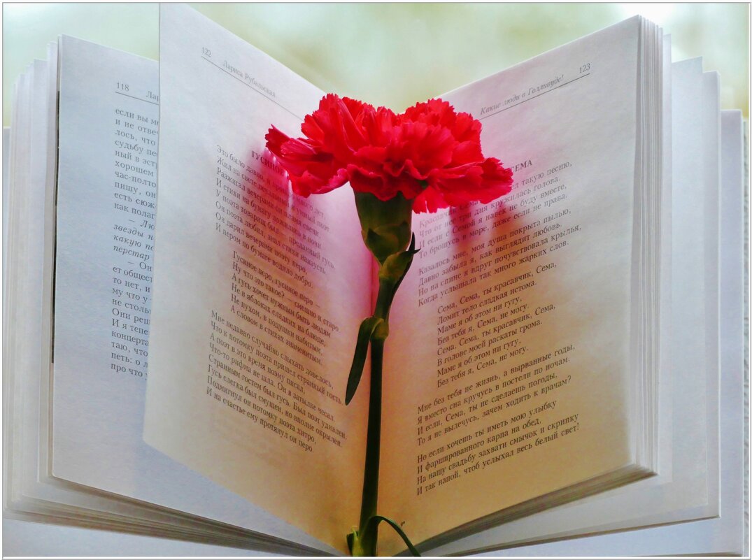 ЮННОСТИ ПРИВЕТ... - Elvira E. 