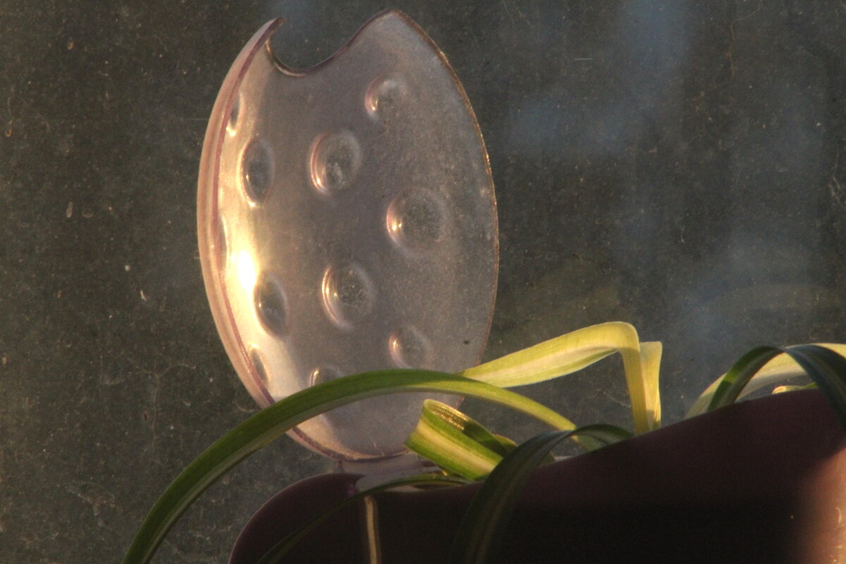 Утренний Пришелец - олег свирский 