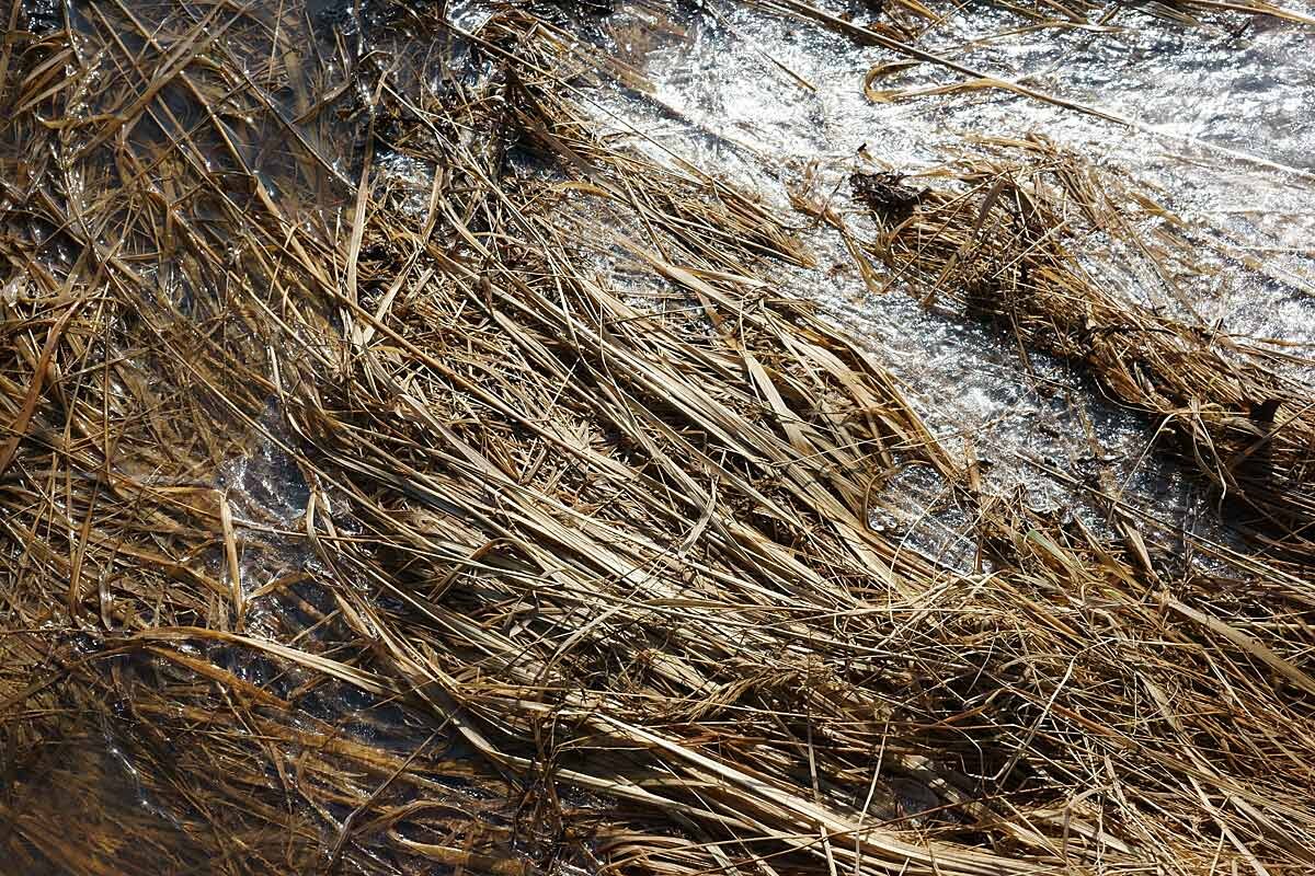 Весенний сюжет - Сергей Курников