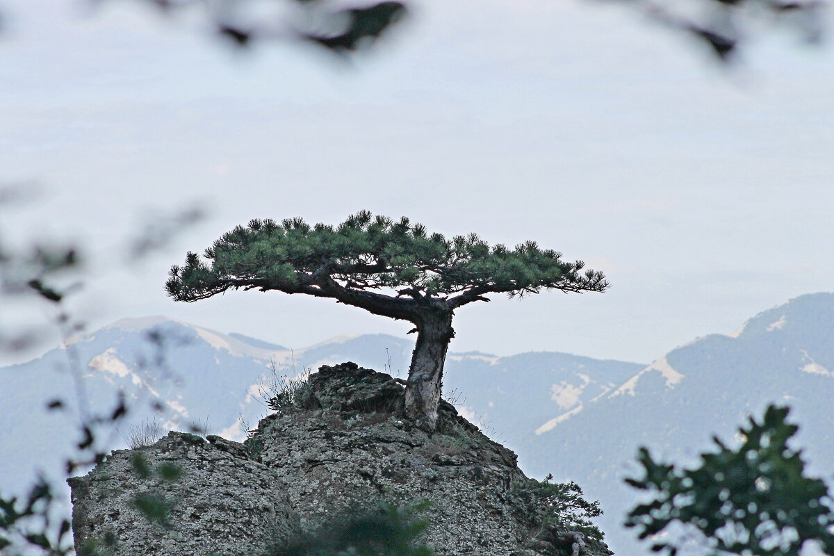 на вершине... - Александр Герасенков