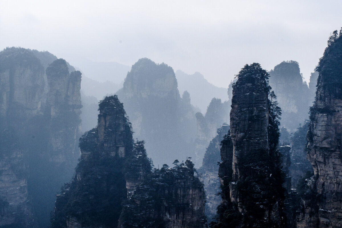 Столбы в парке "Аватар" - Георгий А Столбы в парке "Аватар" - Георгий А