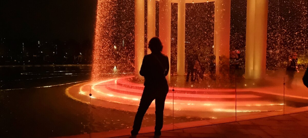 Силуэт - Екатерина Леш