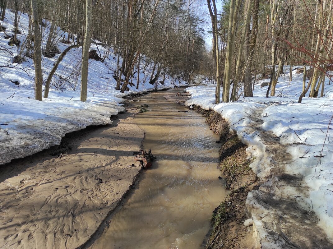 Битцевский лес, р. Городня - Игорь Ч.