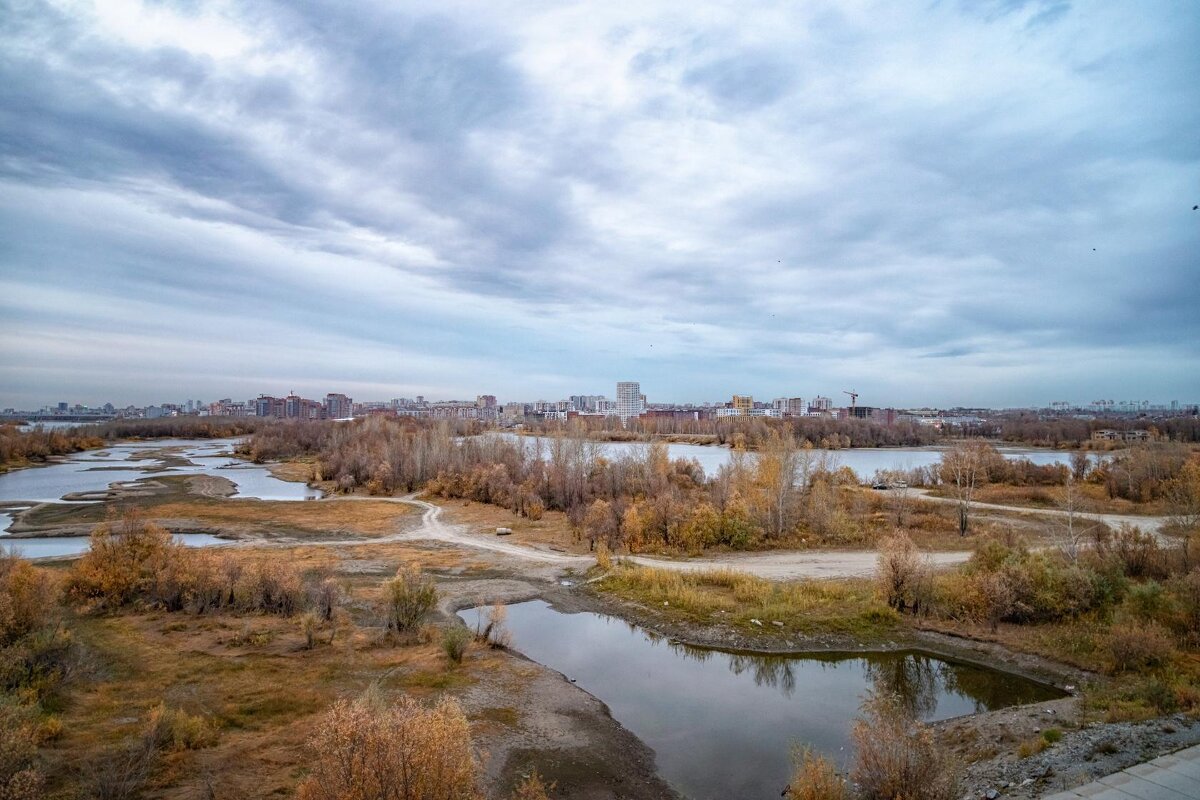 *** - Елена Черненко