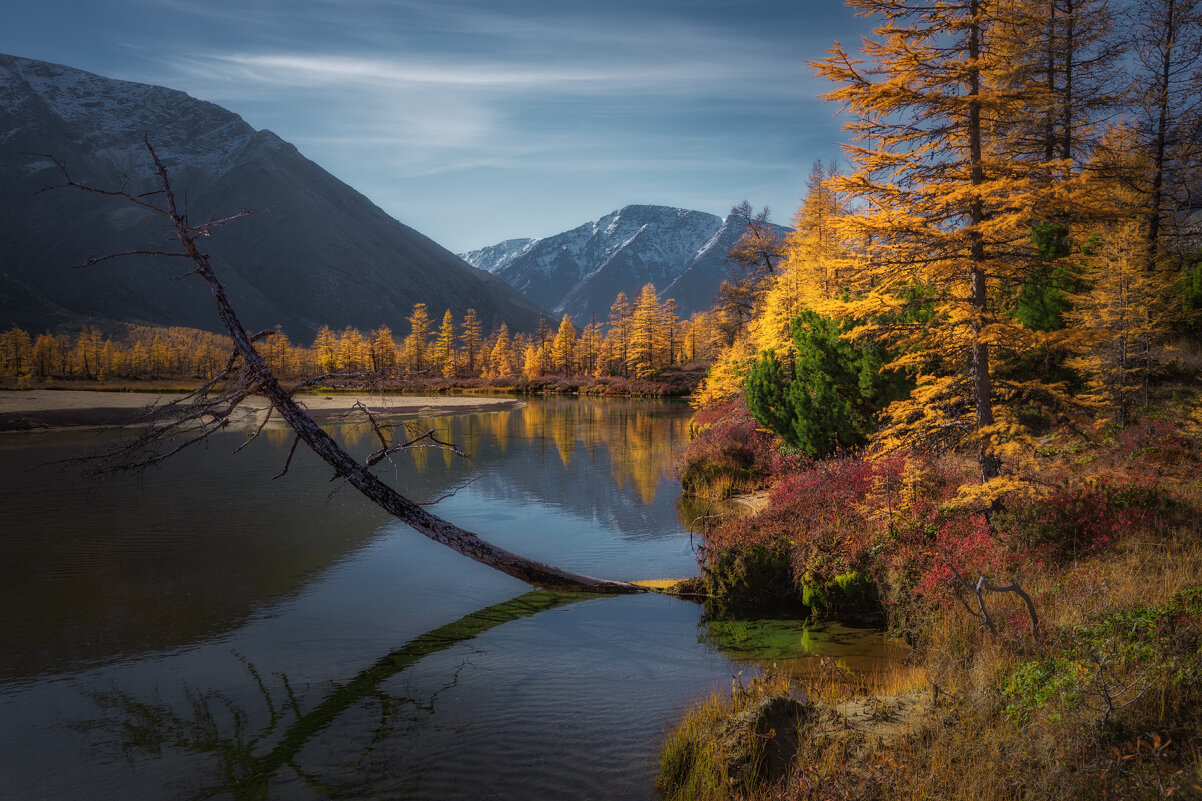 На берегу очень дикой реки - Дмитрий Шишкин На берегу очень дикой реки - Дмитрий Шишкин