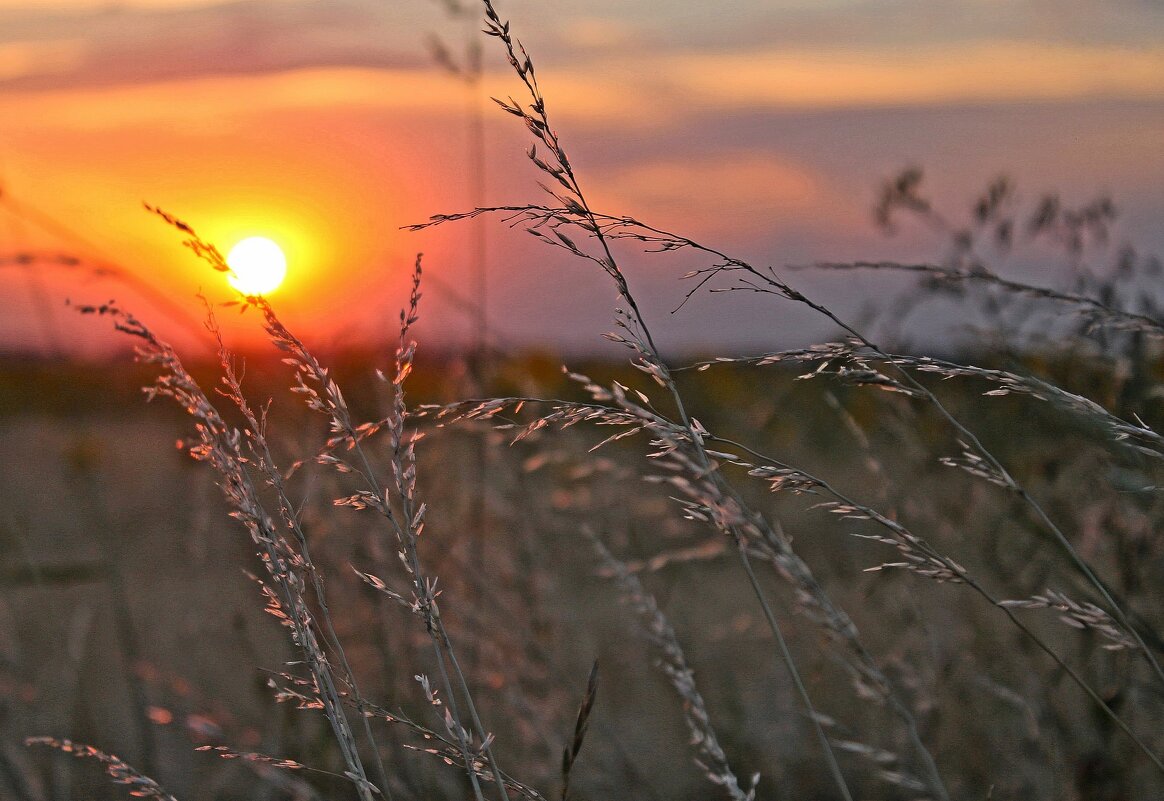 закатное... - Александр Герасенков
