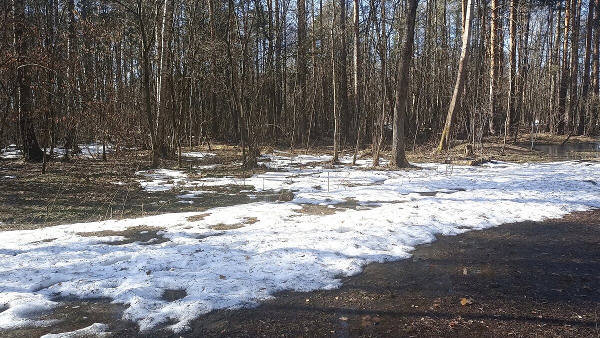 Таяние снегов - Татьяна Тюменка