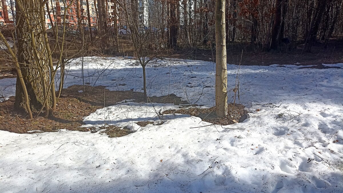 В парке у дома - Татьяна Тюменка В парке у дома - Татьяна Тюменка