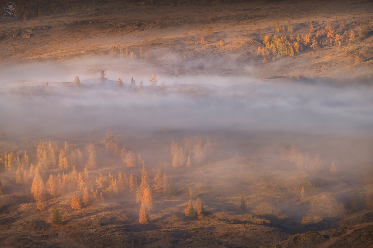 По холмам туман - Анатолий Гордиенко
