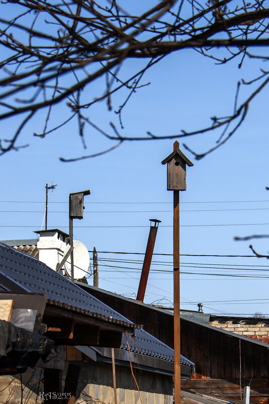 Ждём гостей - Александр 