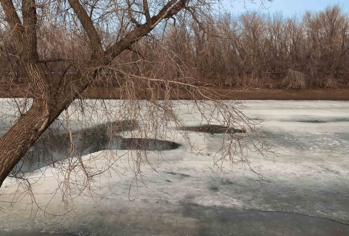 *** - Елена Алексеева