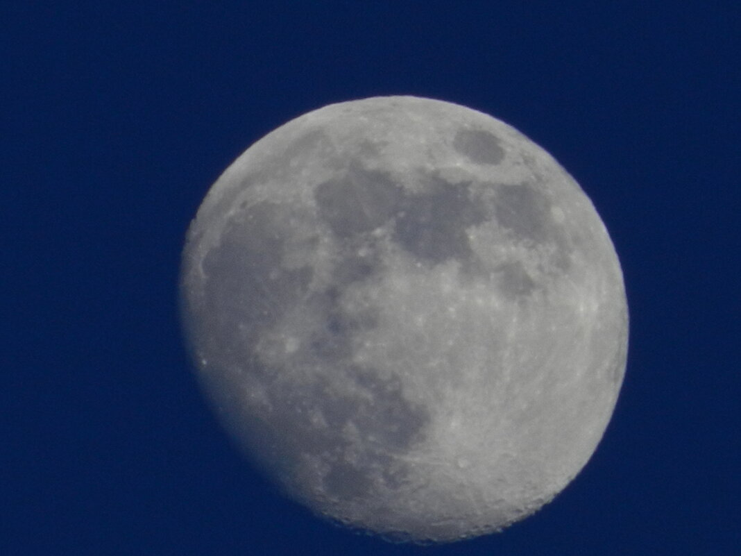 ... - Tanya Nikorovskaya