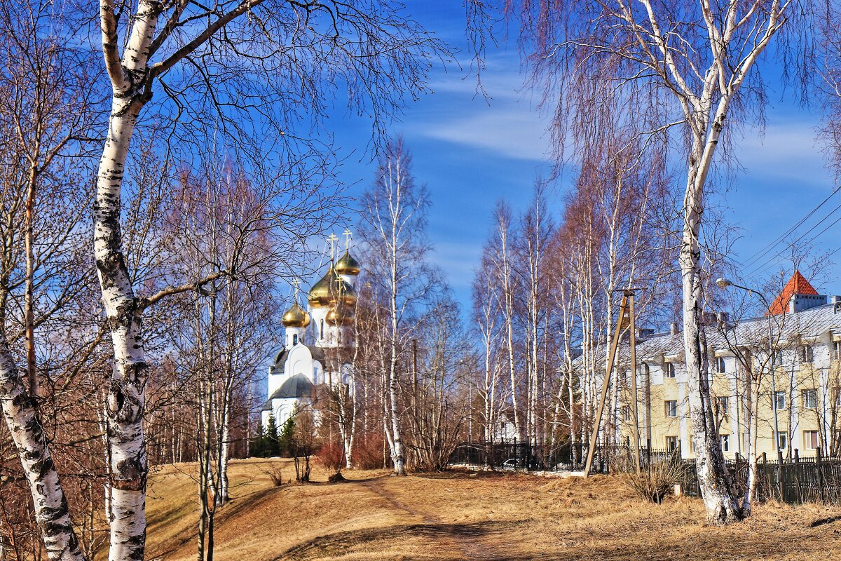 Апрель...Светел церковный холм! - Владимир 