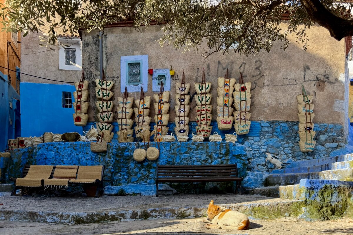 Жизнь в Шефшауане - Натали Королева