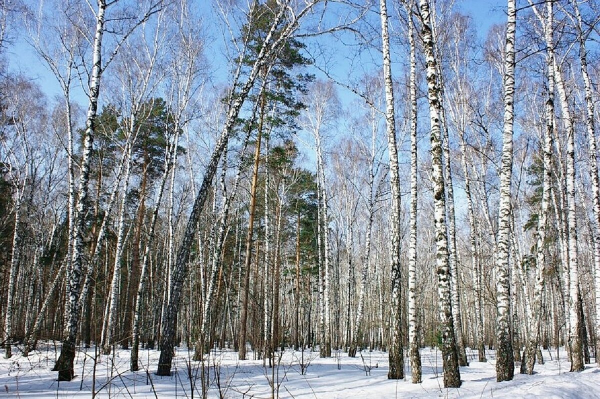 А пока у нас такая весна... - Галина Нестратова
