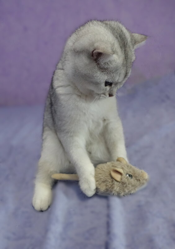 Мышкует). - Марина Леонидовна Мышкует). - Марина Леонидовна