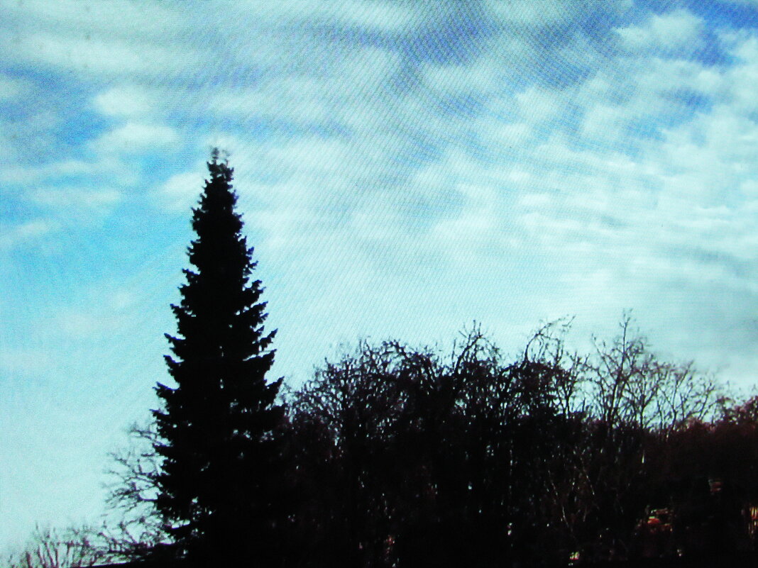 В конце марта - Людмила Смородинская В конце марта - Людмила Смородинская