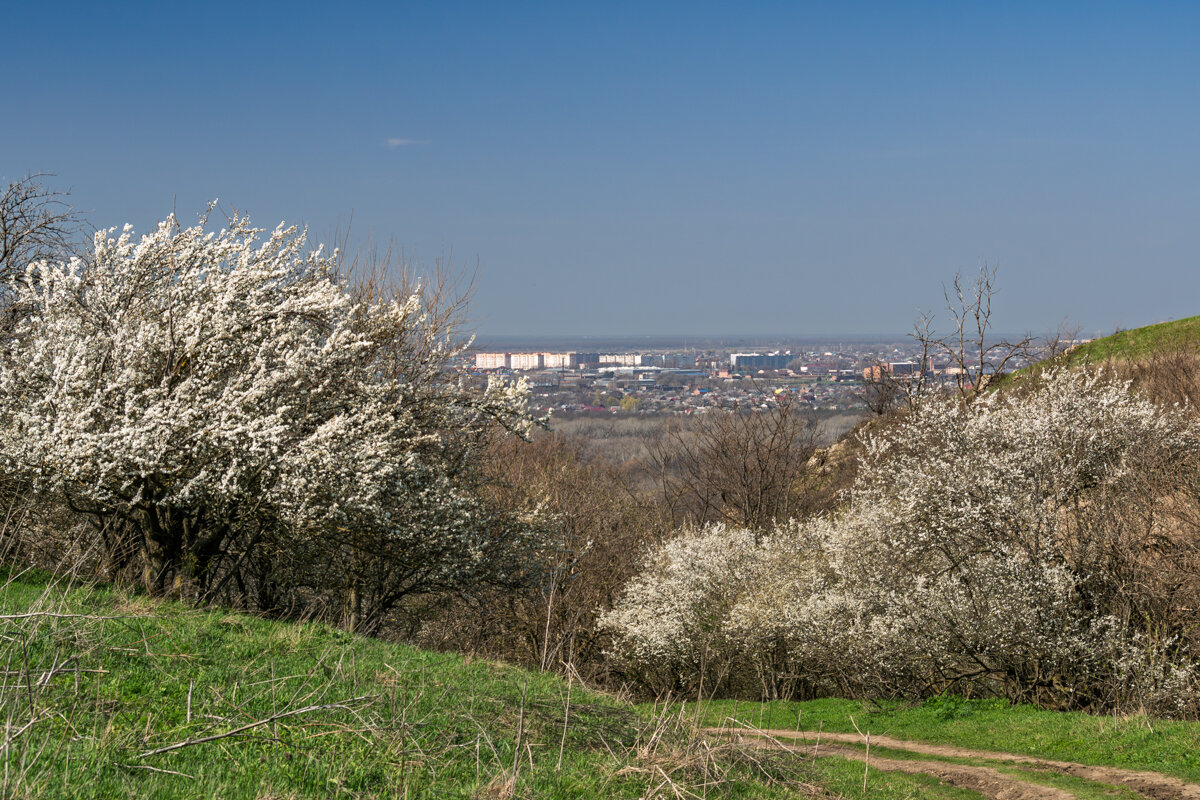 Весна набирает ход - Игорь Сикорский