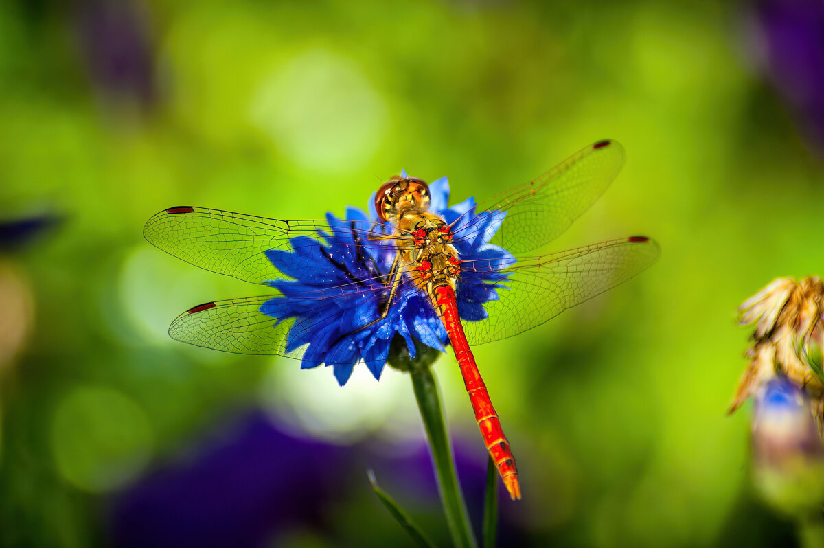 *   *   * - Уже не важно ...