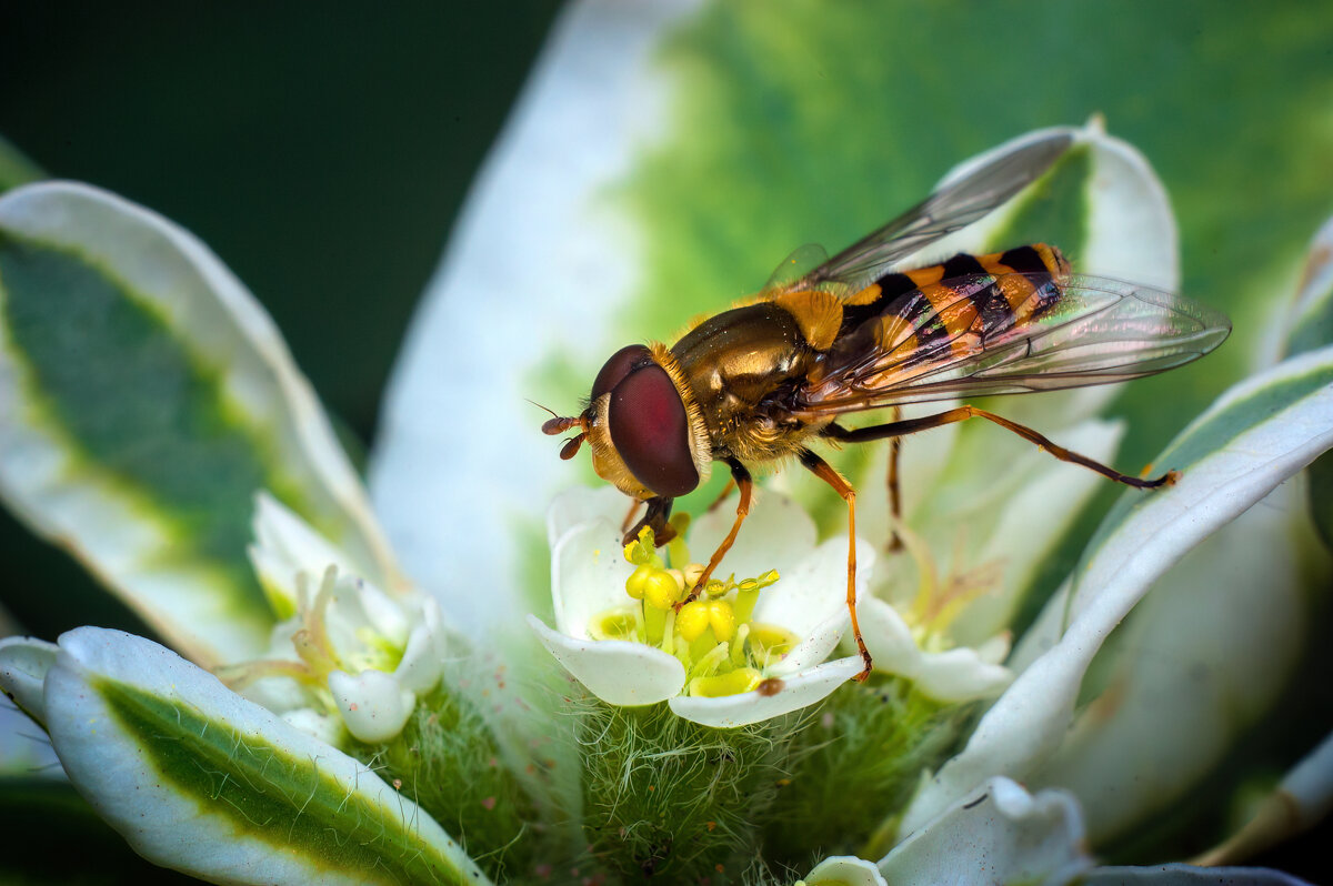 * * * - Уже не важно ... * * * - Уже не важно ...