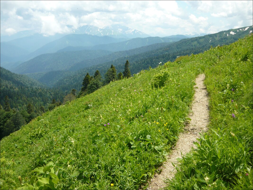 Адыгея! - Надежда Адыгея! - Надежда