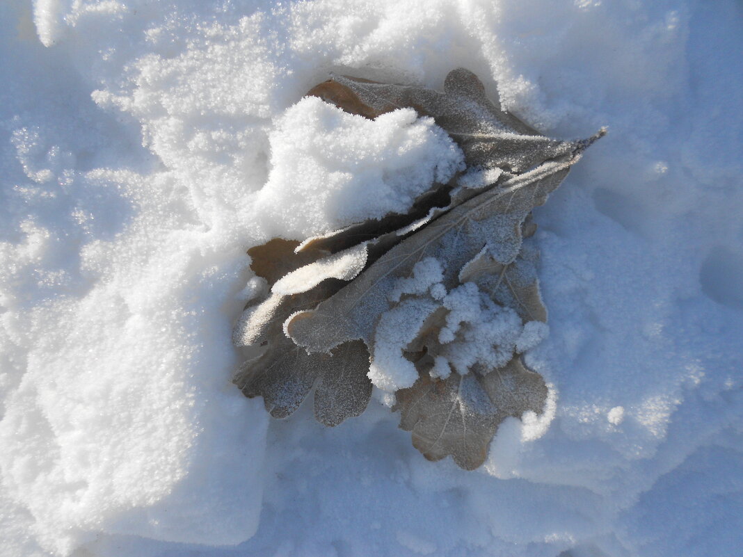 так начинался март - Елена Шаламова